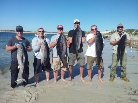 Reef Encounters Fishing Charters. - Accommodation Perth 6