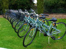 Barossa Bike  - Accommodation Perth 0