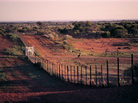Tri State Safaris - Accommodation Perth 3