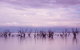 Tri State Safaris - thumb 8