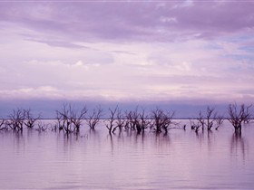 Tri State Safaris - Accommodation Perth 8