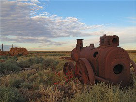 Tri State Safaris - Accommodation Perth 11