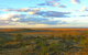 Tri State Safaris - thumb 13