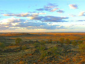 Tri State Safaris - Accommodation Perth 13