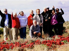 Tri State Safaris - Accommodation Perth 15