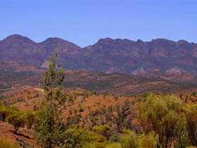 Tri State Safaris - Accommodation Perth 16