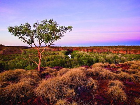 Island Stack, Boodjamulla (Lawn Hill) National Park - Accommodation Perth 0
