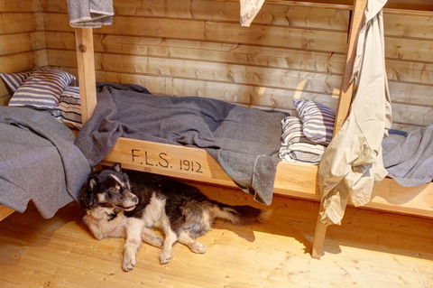Mawson's Huts Replica Museum - Accommodation Perth 7