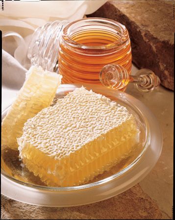 The Honey Place - Accommodation Perth 1