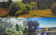 Gallery 126 - thumb 2