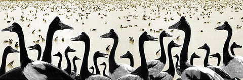 Tin Shed Art Gallery - Perth Resorts 0