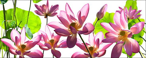 Tin Shed Art Gallery - Perth Resorts 3