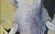 Bright Madge - thumb 1