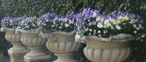 Gardenalia Open Garden And Rare Plant Nursery - Accommodation Perth 0