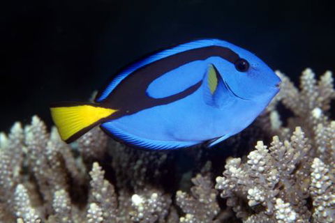 Cairns Marine - Perth Resorts 2
