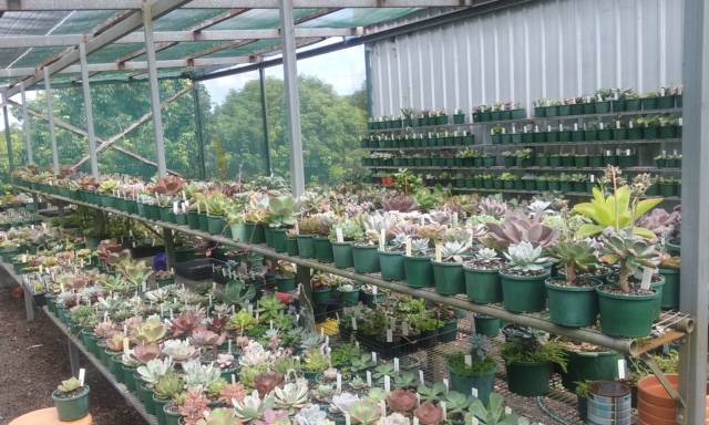 Wollongbar NSW Accommodation Perth