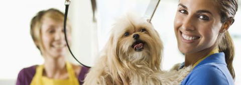 Port Stephens Pet Barn - Accommodation Perth 1