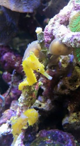 Tropical Marine Centre - Accommodation Perth 1