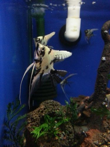 Tropical Marine Centre - Accommodation Perth 3