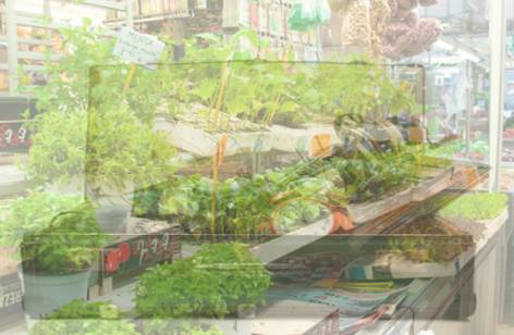 Warrawong Markets - Accommodation Perth 2