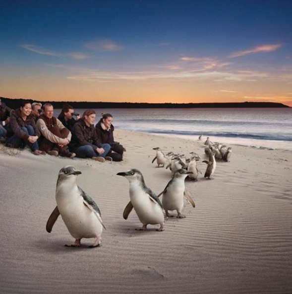 Mont Albert North VIC Accommodation Perth