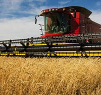Quirindi Grain and produce - Accommodation Perth