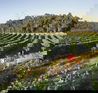 Margaret River Caves Wine and Cape Leeuwin Lighthouse Tour from Perth - Accommodation Perth