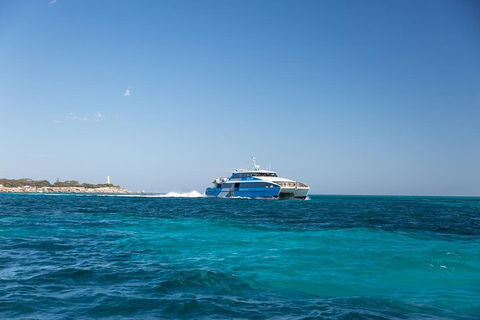 Fremantle To Rottnest Island Roundtrip Ferry Ticket - Accommodation Perth 6