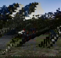 Stargazing Busselton with Mobile Observatory - Perth Resorts