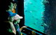 2-hour Busselton Jetty Package: Jetty Train And Underwater Observatory - thumb 1