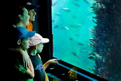 2-hour Busselton Jetty Package: Jetty Train And Underwater Observatory - Perth Resorts 1