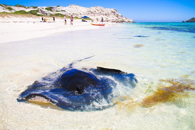 Margaret River WA Accommodation Perth