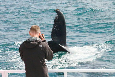 Dunsborough Whale Watching Eco Tour - Perth Resorts 9