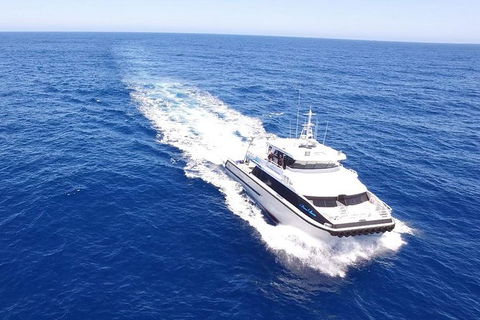 Dunsborough Whale Watching Eco Tour - Perth Resorts 8