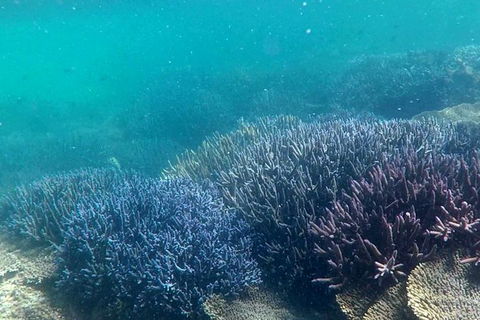 Abrolhos Island Half Day Fly And Flipper - Perth Resorts 1