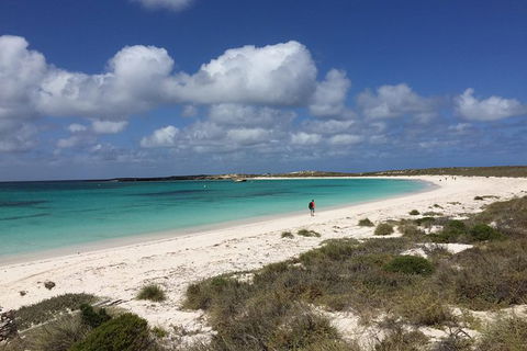 Abrolhos Island Half Day Fly And Flipper - Perth Resorts 0
