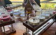 Small-Group Bickley Valley Wine Tour - thumb 7