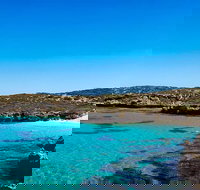 Rottnest Island Roundtrip Fast Ferry from Hillarys Boat Harbour - Perth Resorts