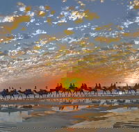Broome City Sightseeing Tour with Optional Camel Ride - Accommodation Perth