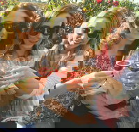 Half Day Swan Valley Wine Tour - Perth Resorts