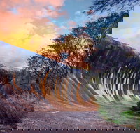 Wave Rock Private Tour - Perth Resorts