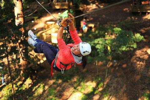 Trees Adventure Lane Poole Park - Treetop & Zipline Experience - Accommodation Perth 0