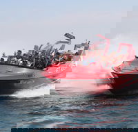 Dunsborough 30-Minute Jet Boat Ride - Accommodation Perth