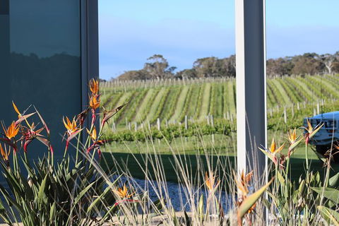 Margaret River Wine And Sights Discovery Tour From Busselton Or Dunsborough - Perth Resorts 3