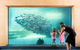 AQWA The Aquarium Of Western Australia: General Admission - thumb 0