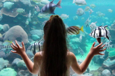AQWA The Aquarium Of Western Australia: General Admission - Accommodation Perth 1