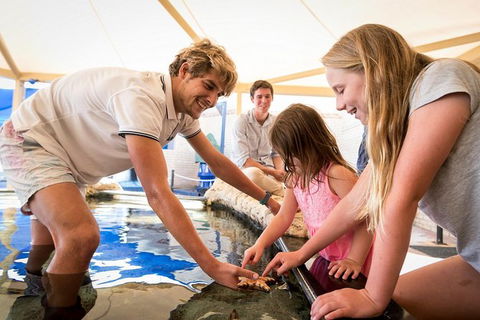 AQWA The Aquarium Of Western Australia: General Admission - Accommodation Perth 5