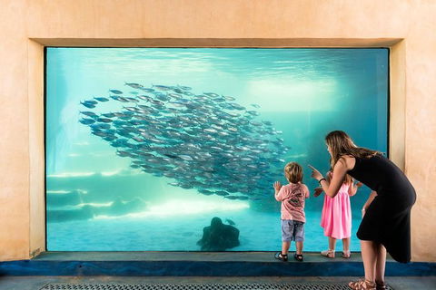 AQWA The Aquarium Of Western Australia: General Admission - Accommodation Perth 2