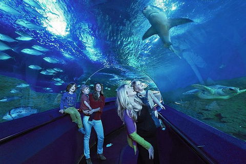 AQWA The Aquarium Of Western Australia: General Admission - Accommodation Perth 14