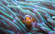 AQWA The Aquarium Of Western Australia: General Admission - thumb 4